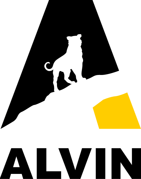 Alvin Elementary